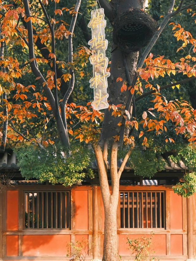 不是日本,真的真的是上海!! 不是日本,真的真的是上海!!