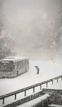 九寨溝|突遇下雪，在九寨溝失控了