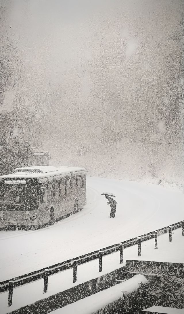 九寨溝|突遇下雪，在九寨溝失控了
