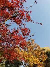 小眾景點 熙南里 甘家大院