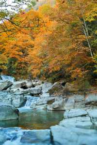 米倉山遊玩的好去處