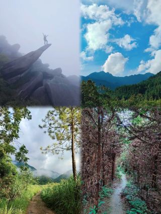 Hiking ceiling in Guangdong Province/No. 1 peak in Zhaoqing/Beautiful Dachou Peak