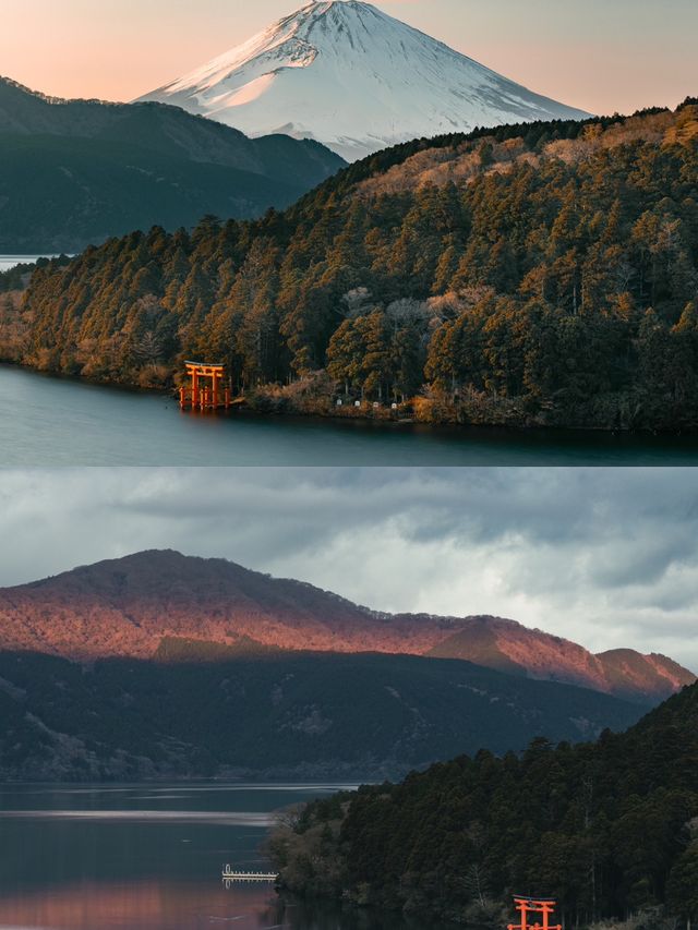 旅拍風光｜箱根的夕陽｜富士山與鳥居⛩️