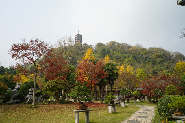 焦山，因其碧波環抱，滿山蒼翠，宛然碧玉浮江，