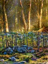 來法蘭西一定要去的楓丹白露森林，置身油畫的世界