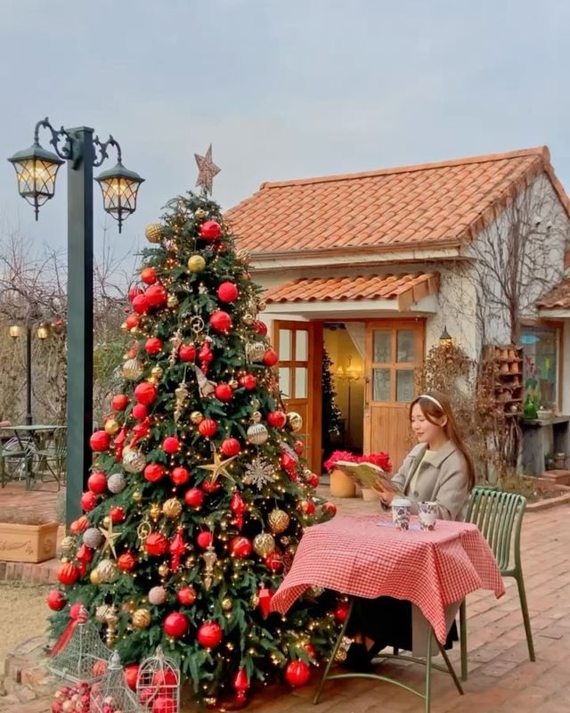 인천의 숨은 보석, 크리스마스의 꽃 피는 로즈스텔라정원 🎄