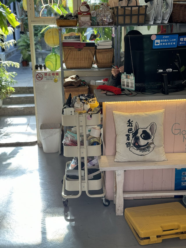 五道營胡同的綠植小院民宿