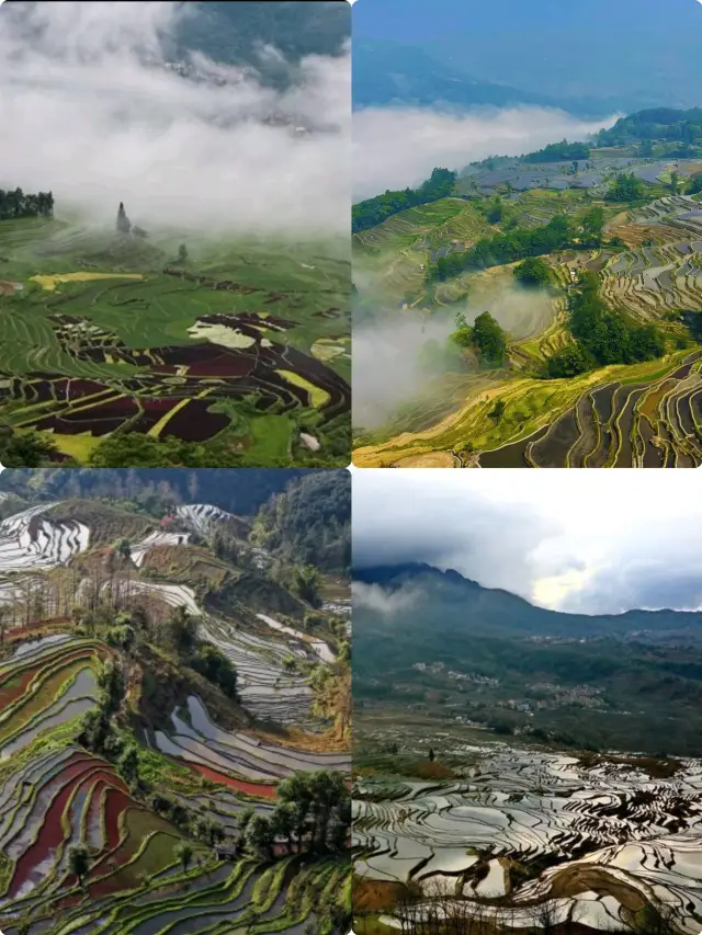 Yuanyang Rice Terraces in Yunnan| Must be included in the travel list (Full Guide)