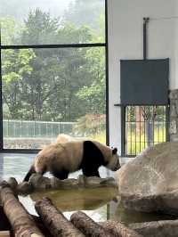 西安周邊被忽略的天然氧吧，還可看熊貓