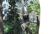 南京紅山動物園旅遊攻略