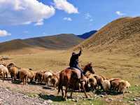 新疆最美的自駕路線 快來伊昭公路