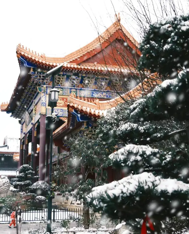 Promise me, you must come here when it snows in Guiyang, the snow scene is like a ceiling!