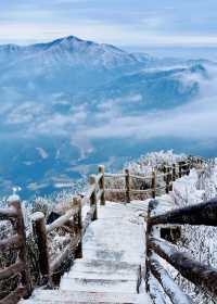 不用出廣東也可以看的絕美霧凇雪景—金子山，不來你一定會後悔的