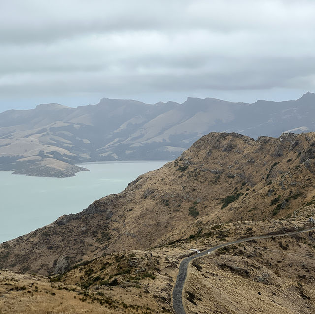 Explore City and Nature in Christchurch!