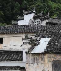 發現了浙江一處傳統村落，藏著建築之代表