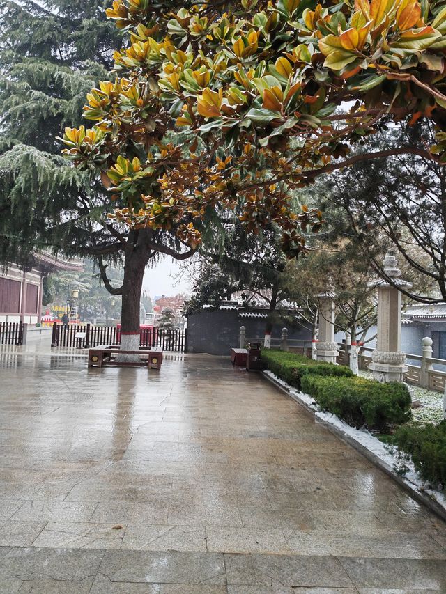 雨雪中遊法門寺