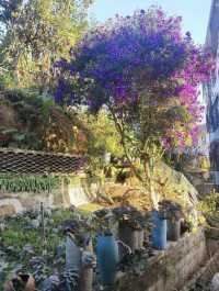 普洱天竿箐村的一家民宿