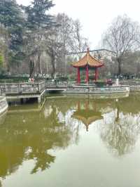 大象滑梯,並不是只在興慶公園有