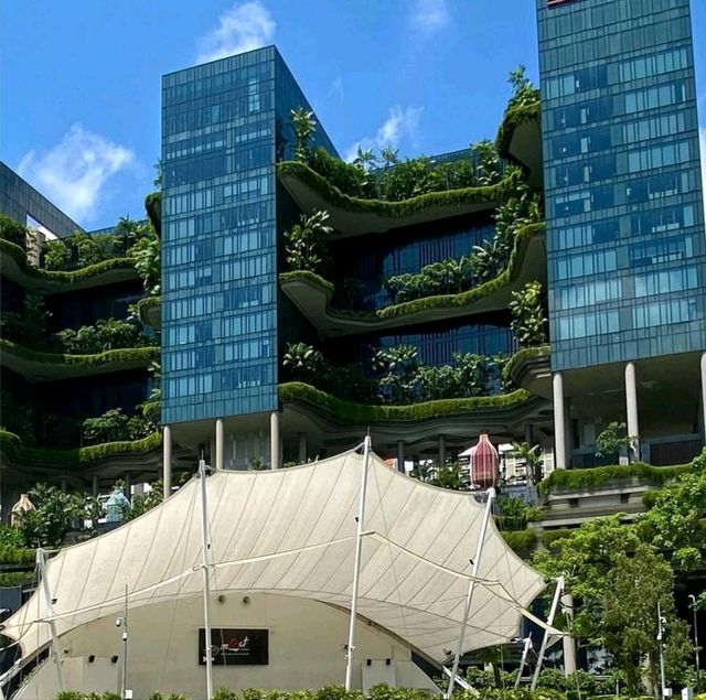 🌻「新加坡聖淘沙島五星級酒店，設施豐富」