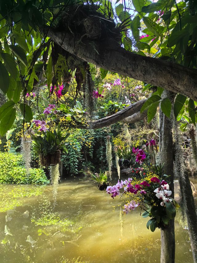 廈門植物園，值得去一次的植物園