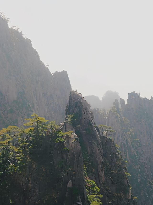 此時的黃山像一幅潑墨山水畫，你確定不來嗎