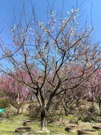 周末郊遊-花開海上生態園