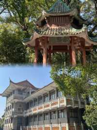 佛山｜中山公園｜嚴重被低估的小眾寶藏公園