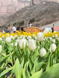 3月16日 | 寶泉一日遊