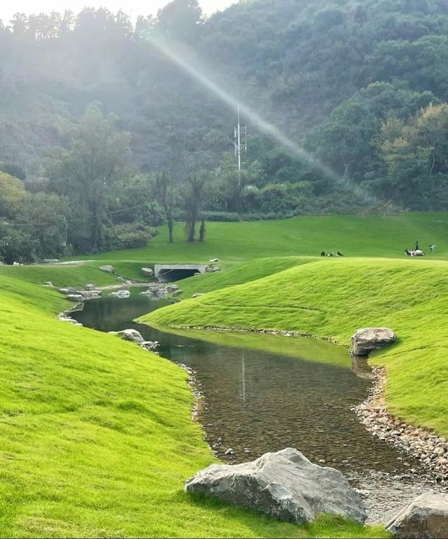 溫州親子遊|這片滿山坡的草地太寶藏了