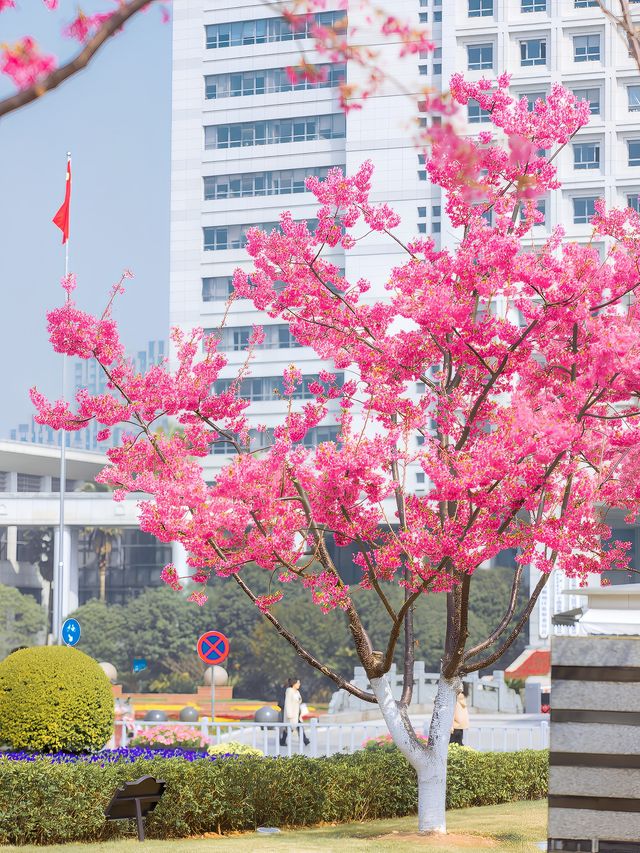 太美了宁波你不宣傳這裡糊塗呀