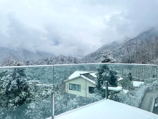 張萬森 青城山下雪啦