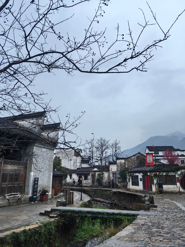登春日之山，感受皖南春季的山水之美