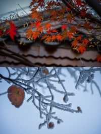 겨울 체크인 | 천문산, 국립삼림공원 ~ 장가계
