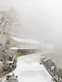 別只盯著東北，三清山的霧凇雪景也超美哒！
