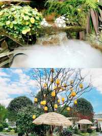 城市短逃離，成都溫江魯家灘濕地公園半日閒