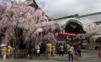 日本之旅：探索美麗的東方國度