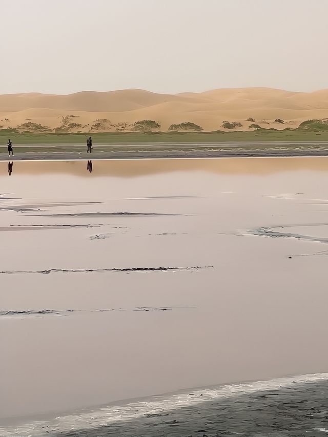 阿拉善沙漠