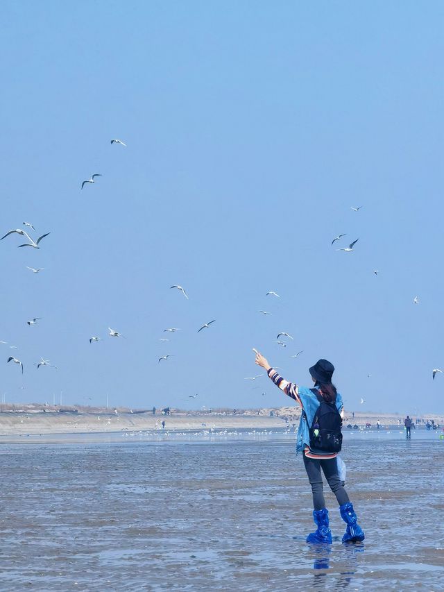 天津濱海 東疆親海公園