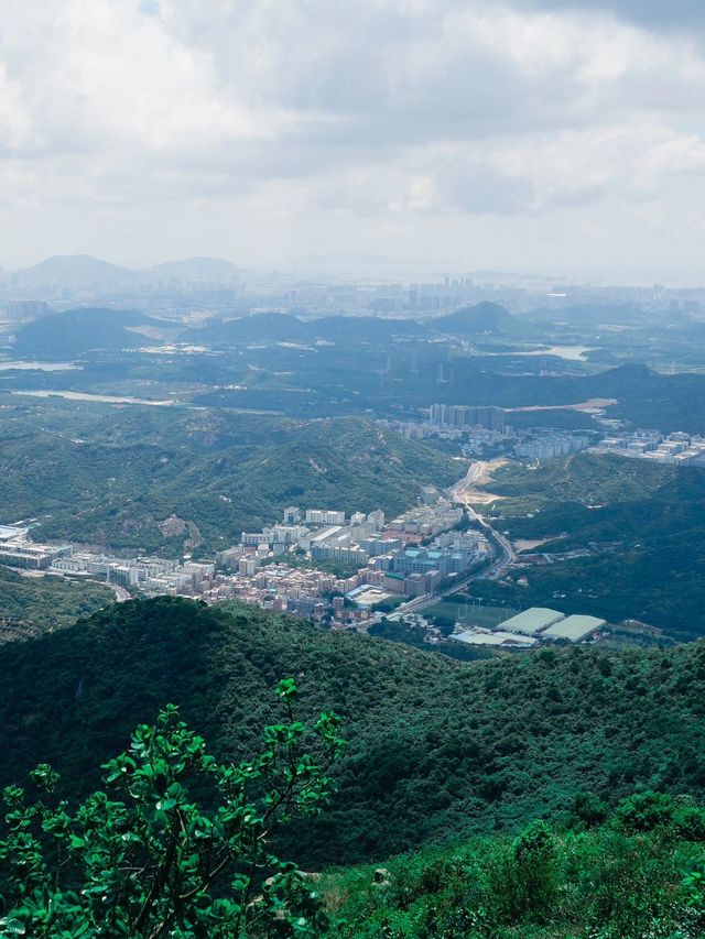 休息去哪裡→陽台山森林公園