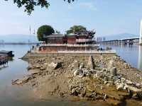 福州沙灘公園賞花行