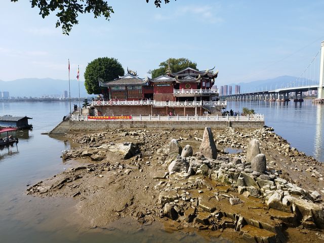 福州沙灘公園賞花行