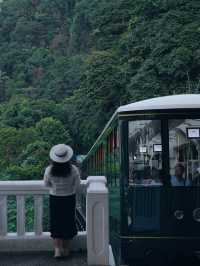 香港真的很適合旅行，你可以這樣玩