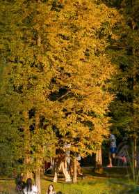 剛從貴州旅行回來，觀山湖公園真是小確幸