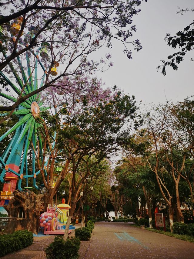 開遠泸江公園風光美