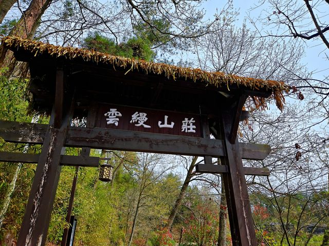 天朗氣清，踏青春山