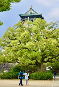 遊日本大阪城，看城市標誌——天心閣城堡