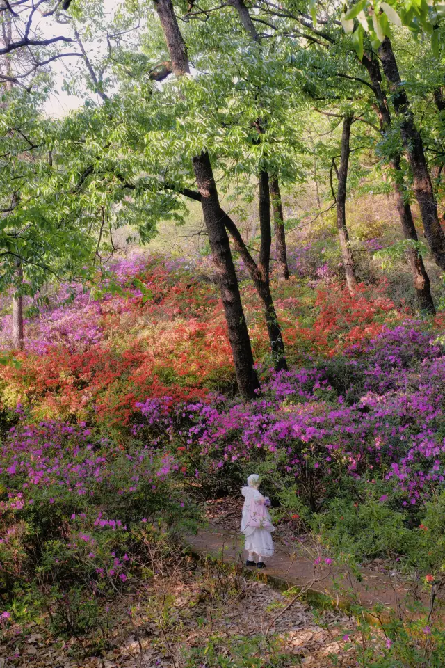The park in Kunming is so beautiful! It's like a dream from Alice in Wonderland!
