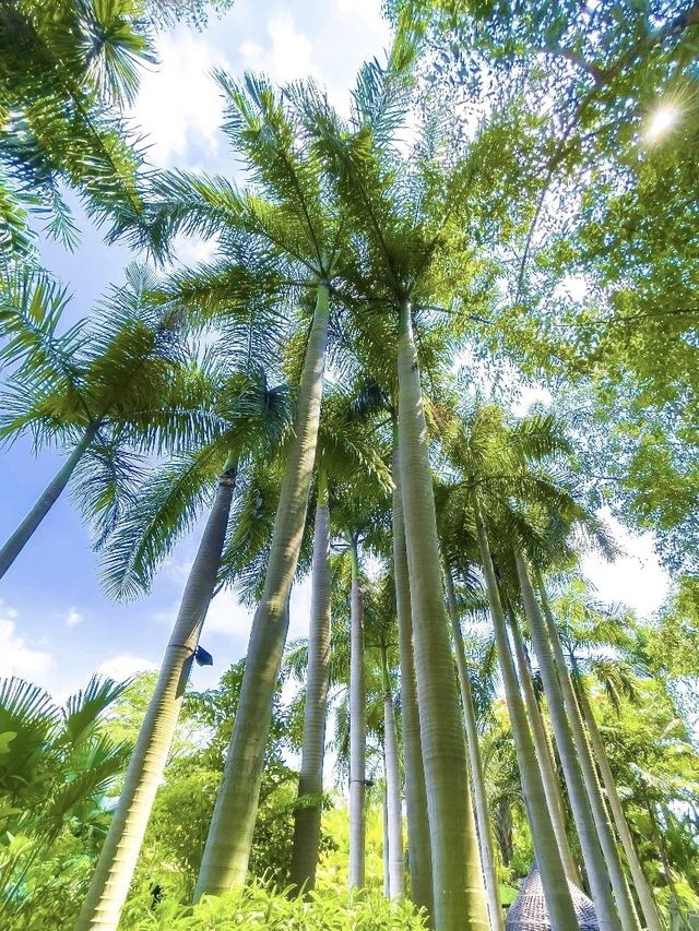 廈門日月谷溫泉度假村