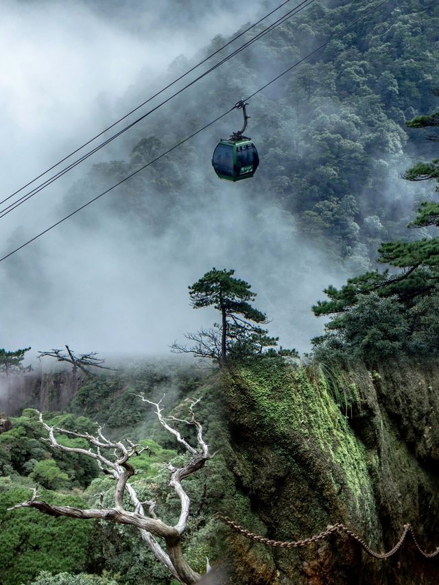 一生去往一次三清山丨天下奇山皆無物