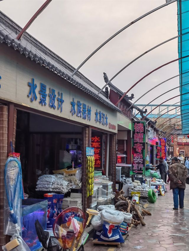 濟南西值得一逛的花鸟魚蟲市場